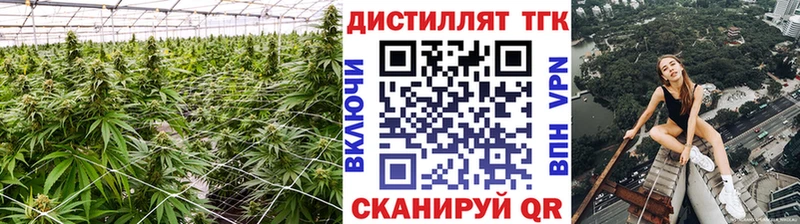 Дистиллят ТГК концентрат Ессентуки