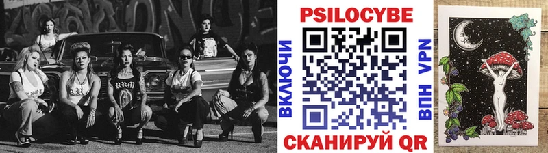 Псилоцибиновые грибы Magic Shrooms  где купить наркотик  Ессентуки 
