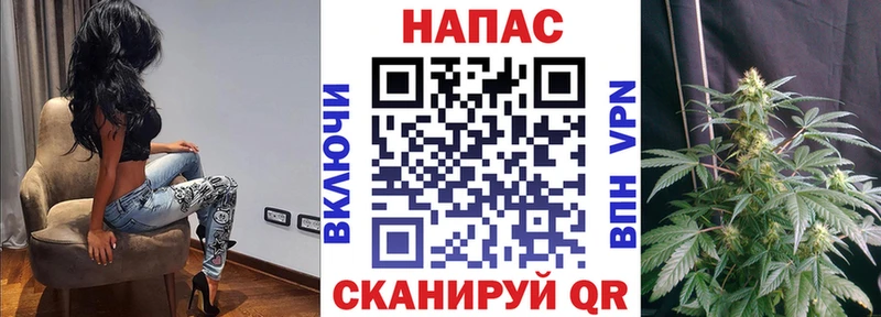 МАРИХУАНА ГИДРОПОН Ессентуки